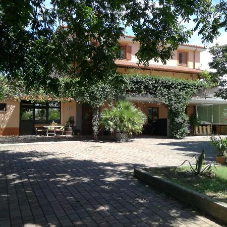 Guesthouse Skofije Ob Parenzani Spodnje Skofije المظهر الخارجي الصورة