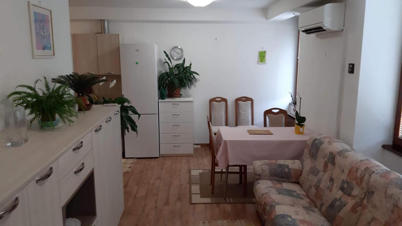 Guesthouse Skofije Ob Parenzani Spodnje Skofije المظهر الخارجي الصورة